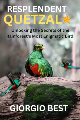 Resplendent Quetzal: Unlocking the Secret of the Rainforest's Most Enigmatic Bird