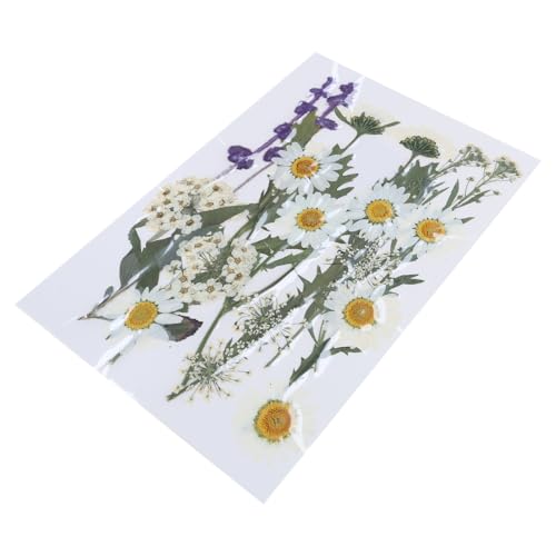 Ԏ^pi`hCt[tA[gNtgpiXNbvubLOWG[CLOJ[hCLOANZT[