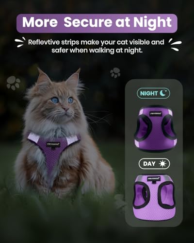 Image of FAYOGOO Cat Harness, Cat Leash and Harness Set for Walking Escape Proof, Harness for Small Cats /Small Dogs, Large Kitten /Puppy Harness and Leash, Harness for Cats,XXL(Modern Violet, Medium) | Step-in mesh vest, velcro + buckle + D-ring; reflective strips; includes matching leash; 5 sizes