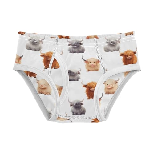 Boys' Exclusive Briefs Toddler Underwear 95% Combed Cotton Boxerbriefs 2T Highland Cow Pattern 4