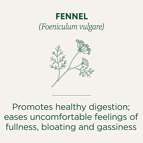 Traditional Medicinals Organic Fennel Herbal Tea, 16 Count (Pack Of 6) #TOP1