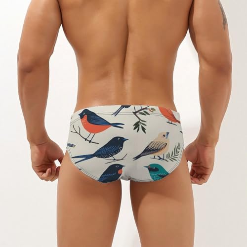 Colorful Birds Mens Swim Briefs Bikini Sexy Low Rise Trunks Swimsuit Bathing Suit Beach2