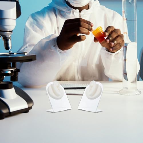 Modèles d'oreille pour formation et simulation en silicone - 4