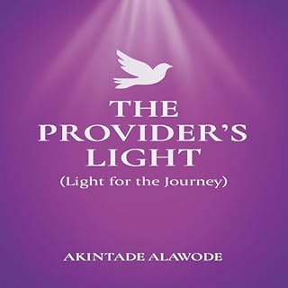 The Provider's Light: Light for the Journey cover art