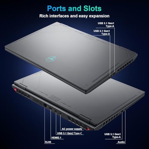 Image of Thunderobot Radiant 16 i9 5060 2.5K Gaming Laptop, 16 inch QHD+ up to 300Hz 2.5K Display, Core i9-14900HX, GeForce RTX 5060, 64GB DDR5 RAM, 4TB SSD, RGB Backlit Keyboard, Wi-Fi 6, Win 11 Home, Black