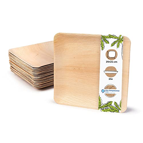 BIOZOYG Disposable Plates 25 Pack 6 Inch Square Palm Leaf Plates - Tableware Compostable Disposable - Alternative to Bamboo Plates - Party Tableware