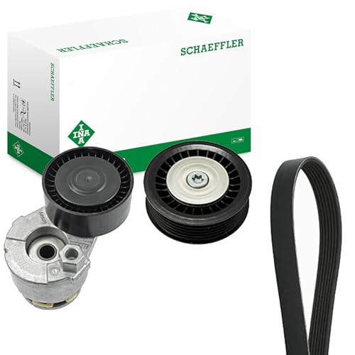 INA 529 0165 10 courroies de distribution