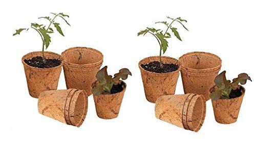 See full amazon price history chart for COIR GARDEN Coir Pot 5 inch - 10 Nos, Coco Basket for Gardening Plants & Flowers, Planters COIR GARDEN Coir Pot 5 inch - 10 Nos, Coco Basket for Gardening Plants & Flowers, Planters (B07MMNMFSF) Amazon Price History, Amazon Price Tracker