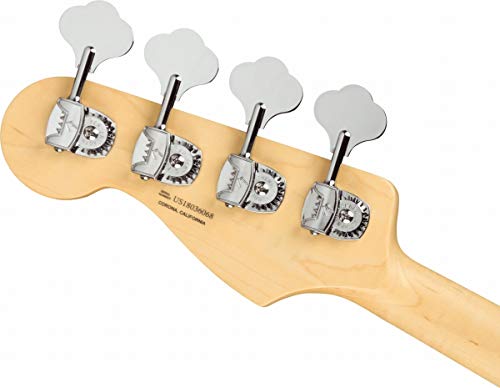 Amazon.co.jp: Fender: USA