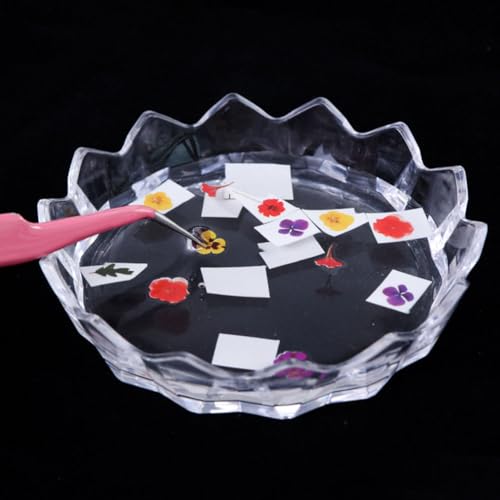 Paleta para arte de uñas acrílica 4 piezas transparente miniatura 5