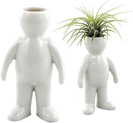 NW Wholesaler Ceramic Air Head Family People Planters - Air Plant Holders (Ceramic Only) - Table Top Display Planters for Air Plants and Other Mini Plants (Man)