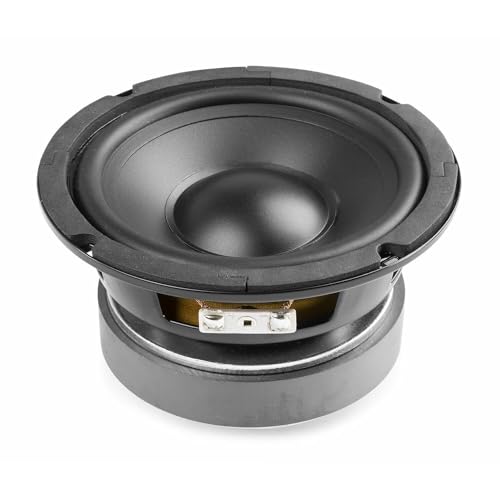 Fenton WPP13 - Woofer Cono de 13 cm (5,25'), 150 vatios máx., suspensión de Espuma, Bobina Resistente al Calor, Ideal para Altavoz HiFi, Altavoz de Repuesto o para construcción de un Altavoz