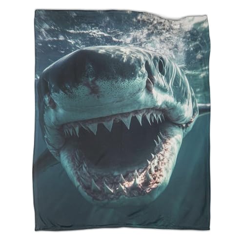 Couverture plaid requin pour frissonner de plaisir au chaud