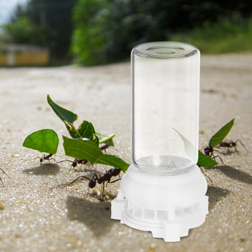 Reviews y listado de Gis para hormigas más recomendados. 18 Reviews y listado de Gis para hormigas más recomendados. 16