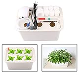 hydroponic system ☘Der Hydrokultur-Züchter züchtet bis zu 6 Pflanzen einmal und eignet sich hervorragend für den Anbau von Kräutern, Salat, Obst, Blumen und Gemüse, Salatgrüns usw. mit umweltfreundlichem Material.