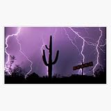 Travis Scott Rodeo Design Sticker Vinyl Waterproof Sticker Decal Car Laptop Wall Window Bumper Sticker 5'