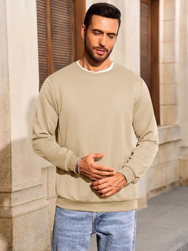 Runcati Mens Crewneck Sweatshirt Casual Long Sleeve Lightweight Fashion Basic Pullover Sweatshirt2