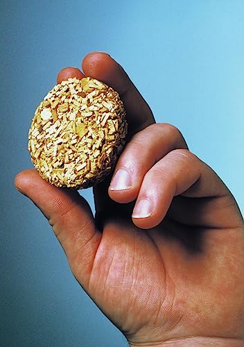 Bradley Smoker Bisquettes for Grilling and BBQ, Mesquite Special Blend, 120 Pack