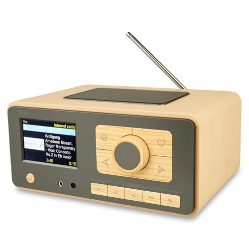 Ocean Digital WR-393 WiFi Internet Radio with FM, Podcast, Bluetooth Speaker, 3.5' Color Display, 30,000+ Stations, UPnP/DLNA Streaming, Dual Alarm Clock, Sleep Timer, Remote Control, Mains Powered