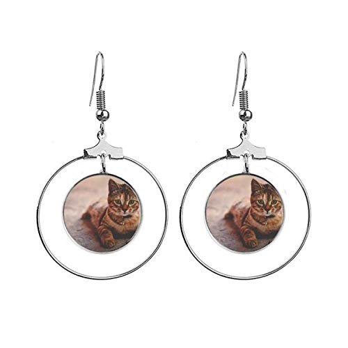 Boucles d'oreilles chat calme avec grand cercle pour un style bohème chic