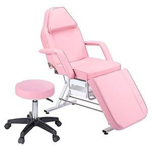 Massage Salon Tattoo Chair with Two Trays Esthetician Bed with Hydraulic Stool Multi-Purpose 3-Section Facial Bed Table Adjustable Beauty Barber Spa Beauty Equipment Pink