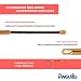 Anguila 12104020 - Guía pasacables Nylon Monofilamento, 20 m, Diámetro 4 mm,...