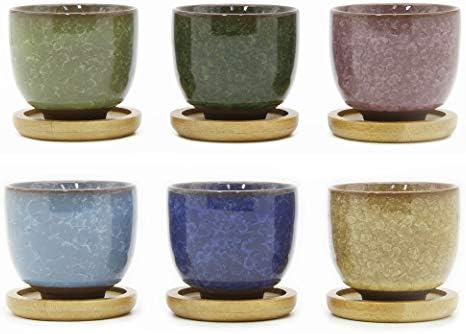 Goldblue Ice Crack Zisha Serial Ceramic Flowing Glaze Succulent Plant Pot (6pcs with Bamboo Drip Tray)