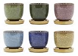 Goldblue Ice Crack Zisha Serial Ceramic Flowing Glaze Succulent Plant Pot (6pcs with Bamboo Drip Tra