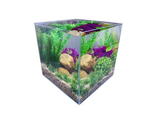 7 Litre Rimless Low Iron Glass Aquarium Tank (7.8" L × 7.8" W × 7.8" H / 20cm x 20cm x 20cm), Thickness Standard Jointed - Image 5