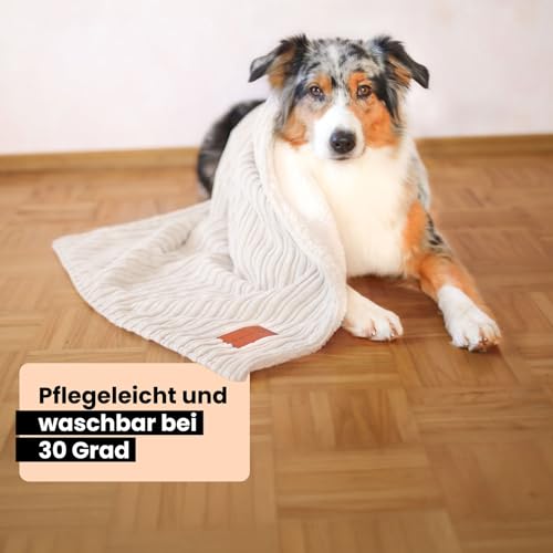 WahreTierliebe® Cozy Kuscheldecke für Hunde, Waschbar & Pflegeleicht - Idealer Überzug fürs Hundebett, Sofa, Auto & Möbel - Warmes, doppelseitiges Design