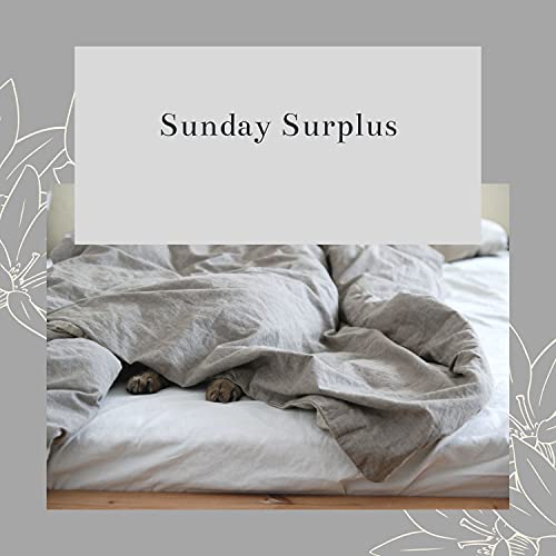  Sunday Surplus