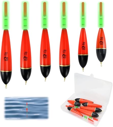 KXVXXV 6 Stück Posen Angeln Set Schwimmer Angeln Angelposen Set aus Eva-Schaumstoff Angelzubehör Leuchtposen Fishing Posen Für Hecht Barsch Karpfen Barsch
