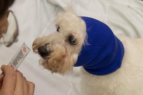 Image of Anti-Anxiety Dog Ear Cover Neck Gaiter Calming Noise Reduction Head Covers for Dogs Blue M