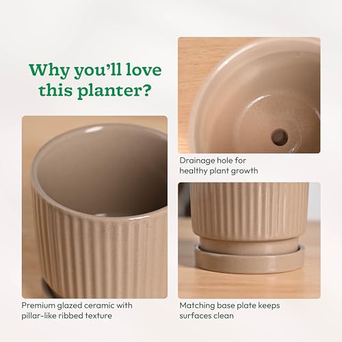Image of UGAOO Roma Ceramic Pot for Indoor Plants, 5 Inch - Curtain Brown