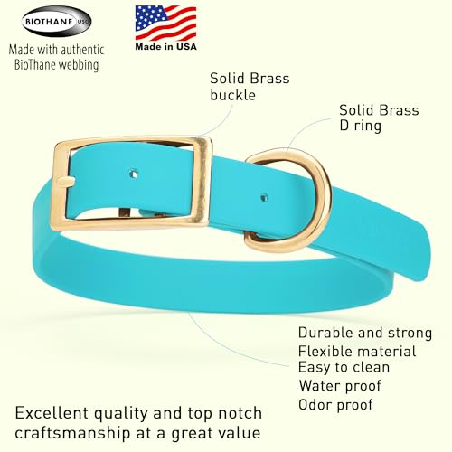Image of Viper Biothane Heavy Duty Waterproof Dog Collar Strong Coated Nylon Webbing w /Solid Brass Hardware Odor-Proof Easy to Clean High Performance Fits Small Medium or Large Dogs, Sky Blue