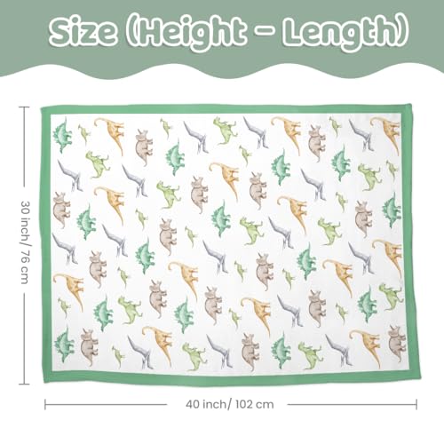 Image of SANDJEST Minky Blanket 2 Pack with Dotted Back 30 x 40 Inches, Gift for Christmas Birthday (Whale, Dinosaur)