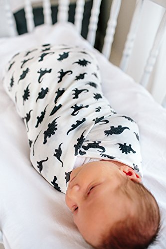 Image of Copper Pearl Swaddle Blankets for Newborns | Soft Stretchy Receiving Blankets for Boys and Girls | Large 46 x 46 Inch Baby Blankets | Lightweight and Breathable Swaddles | Dinos Wild