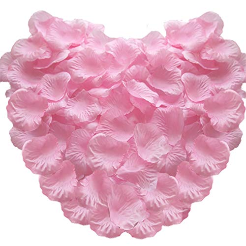 TtS 1000 Seta rosa petali di fiori per il