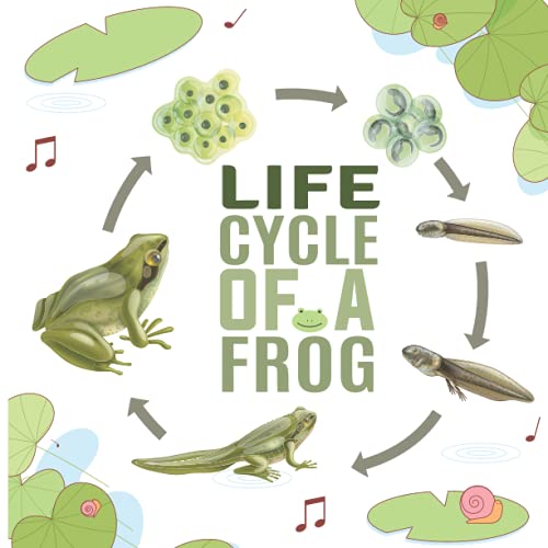 Life Cycle Of A Frog: Let's learn about life cycle of a frog through this educational book especially made for kids