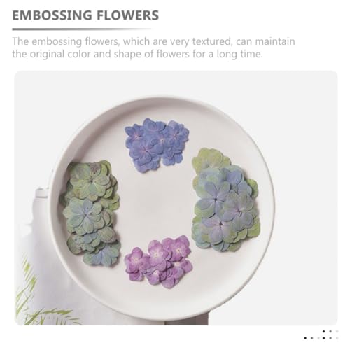 30 flores prensadas secas naturales para manualidades miniatura 5