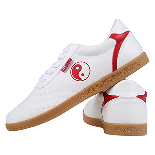 Tai Chi Kung Fu Shoes for Women, Martial Art Sneaker Chinese Traditional Female Qi Gong Beijing Trainer Wing Chun Slipper