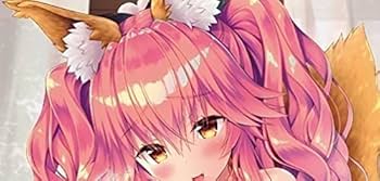 さそりがため　dragon kitchen 玉藻の前　壁掛けパネル Amazon.co.jp: コミケ95 JK 玉藻 騎乗位 タペストリー さそりが