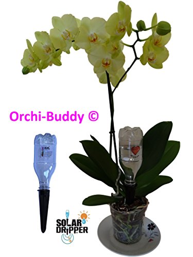Solar-Dripper Arrosage Automatique pour Orchidée ORCHI-Buddy