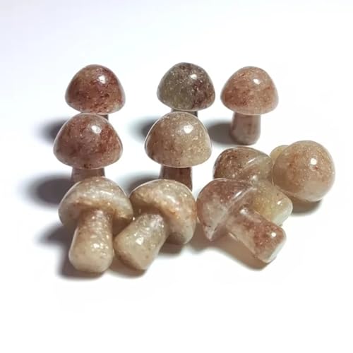 Pierres naturelles champignon quartz agate x30 pour décoration de chambre