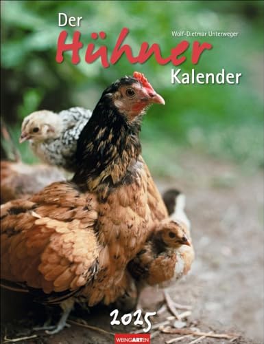 Der Hühnerkalender 2025: Wandkalender 2025 mit Hühnerfotos des bekannten Naturfotografen Wolf-Dietmar Unterweger. Tier-Kalender 2025 mit idyllischem Bauernhofflair.