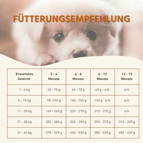 Wildfang® Hundefutter - Trocken - Getreidefreies Hundefutter - Premium Trockenfutter… (2 kg, Huhn mit Truthahn - Welpen)