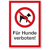 Komma Security Für Hunde verboten Hunde Kunststoff Schild - draußen bleiben Hinweisschild Türschild Verbotsschild - Hundeverbot Verbot Hunde - Restaurants Läden Geschäfte Büros