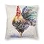 Chicken Rooster