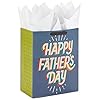 Hallmark 13″ Large Gift Bag with Tissue Paper (Happy Father’s Day Gray, Red, Blue, Orange, Green) for Dad, Grandpa, Uncle, Brother