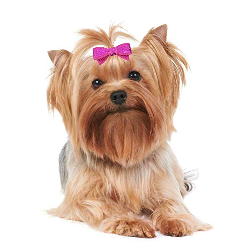 PET SHOW 10 Pairs Bowknot Small Dogs Hair Bows with Alligator Clips Glitter Pet Medium Dog Puppies Cats Topknot Headdress Grooming Hair Accessories Party Costumes